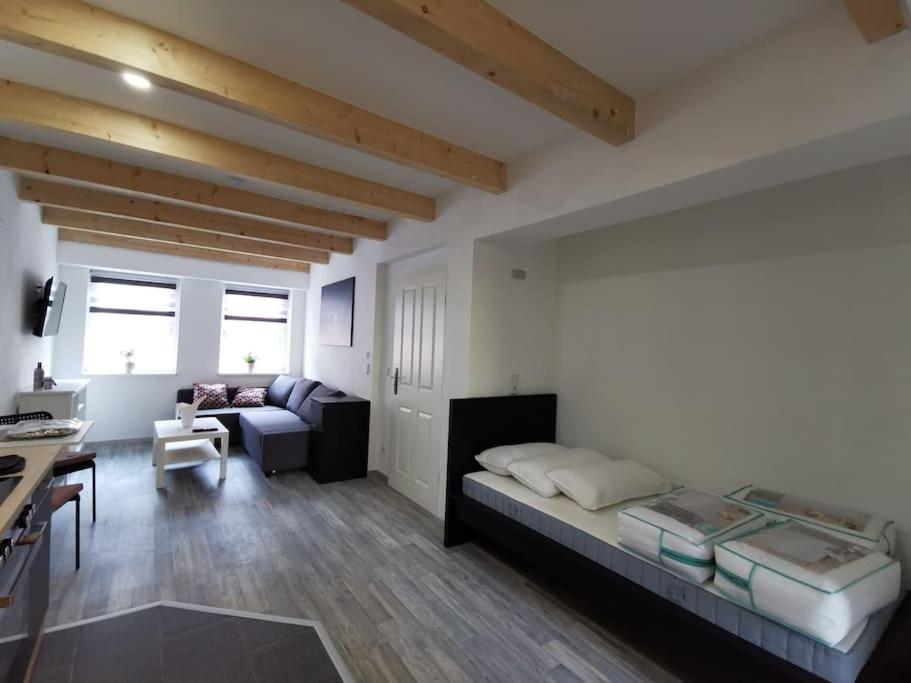 Altstadt-Apartment & Fewo Og Fuer Max 3 Pers Haldensleben Eksteriør billede